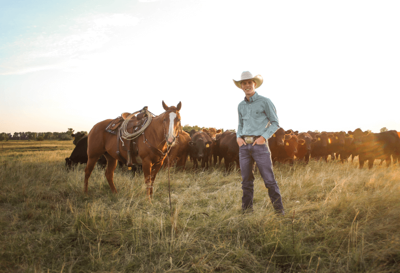 Wild Horse livestock